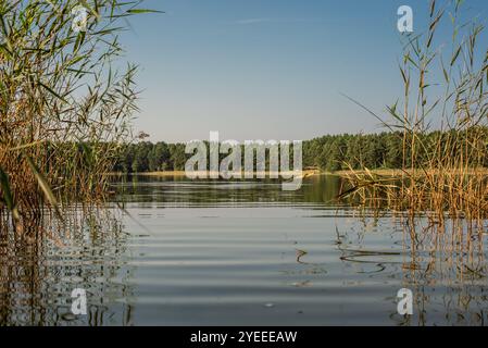 Kleiner Waldsee 'Ummis' in Lilaste, Lettland an sonnigen Sommertagen Stockfoto