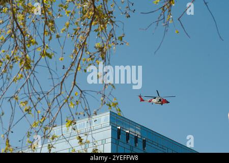 Blick bis zum blauen Himmel zum rot-weißen Hubschrauber der Küstenwache über dem Gebäude in der Innenstadt von St. Petersburg Florida. Eingerahmt von Bäumen, Gliedmaßen im Vordergrund. E Stockfoto