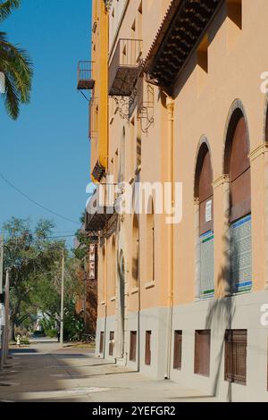 Altes YMCA-Gebäude in der Innenstadt von St. Petersburg Florida Backsteingebäude und Baum. Sonne am frühen Morgen. Nur Zur Redaktionellen Verwendung Am 29. Oktober 2024, St. Petersburg Fl Stockfoto