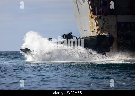 Ein Amphibienfahrzeug des U.S. Marine Corps, das dem 3. Angriffsamphibienbataillon, 1. Marine Division, zugewiesen ist und Marines mit dem 1. Bataillon, 7. Marine Regiment, 1. MARDIV, transportiert, startet vom Brunnendeck der USS Somerset (LPD 25) als Teil des vierteljährlichen Amphibienfähigkeitstrainings vor der Küste des Marine Corps Base Camp Pendleton, Kalifornien, 28. Oktober 2024. QUART ist eine gemeinsame Trainingsübung, die darauf abzielt, grundlegende amphibische Fähigkeiten für effektive Operationen in maritimen Umgebungen zu entwickeln und aufrechtzuerhalten und gleichzeitig die Partnerschaft zwischen Marine und Marine zu stärken. Als Teil von QUART, Mar Stockfoto