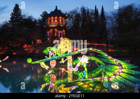 Montreal, Quebec, Kanada. 30. Oktober 2024. Die Gärten des Lichts im Montreal Botanical Garden haben begonnen. Der Gardens of Light Pathway, der zu einer saisonalen Tradition geworden ist, bietet einen spektakulären, immersiven Spaziergang durch beleuchtete First Nations, chinesische und japanische Gärten. (Kreditbild: © Serkan Senturk/ZUMA Press Wire) NUR REDAKTIONELLE VERWENDUNG! Nicht für kommerzielle ZWECKE! Stockfoto