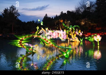 Montreal, Quebec, Kanada. 30. Oktober 2024. Die Gärten des Lichts im Montreal Botanical Garden haben begonnen. Der Gardens of Light Pathway, der zu einer saisonalen Tradition geworden ist, bietet einen spektakulären, immersiven Spaziergang durch beleuchtete First Nations, chinesische und japanische Gärten. (Kreditbild: © Serkan Senturk/ZUMA Press Wire) NUR REDAKTIONELLE VERWENDUNG! Nicht für kommerzielle ZWECKE! Stockfoto