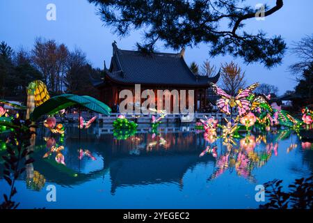 Montreal, Quebec, Kanada. 30. Oktober 2024. Die Gärten des Lichts im Montreal Botanical Garden haben begonnen. Der Gardens of Light Pathway, der zu einer saisonalen Tradition geworden ist, bietet einen spektakulären, immersiven Spaziergang durch beleuchtete First Nations, chinesische und japanische Gärten. (Kreditbild: © Serkan Senturk/ZUMA Press Wire) NUR REDAKTIONELLE VERWENDUNG! Nicht für kommerzielle ZWECKE! Stockfoto