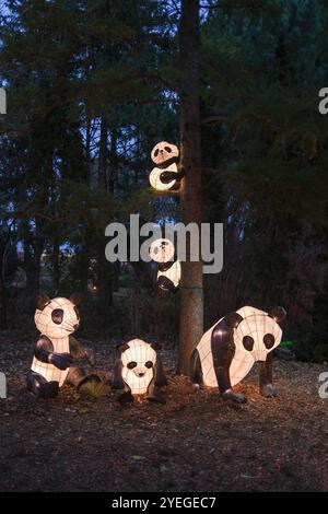 Montreal, Quebec, Kanada. 30. Oktober 2024. Die Gärten des Lichts im Montreal Botanical Garden haben begonnen. Der Gardens of Light Pathway, der zu einer saisonalen Tradition geworden ist, bietet einen spektakulären, immersiven Spaziergang durch beleuchtete First Nations, chinesische und japanische Gärten. (Kreditbild: © Serkan Senturk/ZUMA Press Wire) NUR REDAKTIONELLE VERWENDUNG! Nicht für kommerzielle ZWECKE! Stockfoto