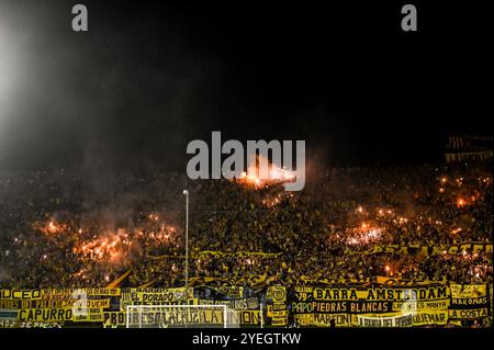 Montevideu, Uruguay. 30. Oktober 2024. Während des Peñarol x Botafogo, einem Spiel, das für die zweite Etappe des Copa Libertadores Semifinals 2024 gültig ist, das am Abend dieses Mittwochs (30) im Centenário-Stadion in Montevideo, Uruguay, ausgetragen wurde. Quelle: Nayra Halm/FotoArena/Alamy Live News Stockfoto