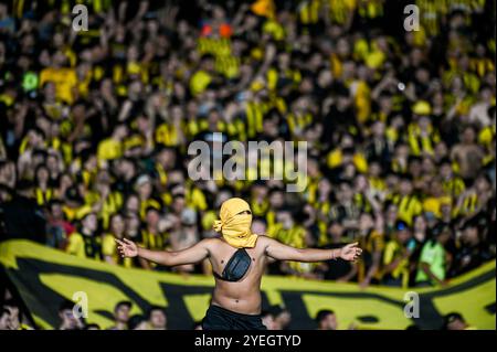 Montevideu, Uruguay. 30. Oktober 2024. Während des Peñarol x Botafogo, einem Spiel, das für die zweite Etappe des Copa Libertadores Semifinals 2024 gültig ist, das am Abend dieses Mittwochs (30) im Centenário-Stadion in Montevideo, Uruguay, ausgetragen wurde. Quelle: Nayra Halm/FotoArena/Alamy Live News Stockfoto