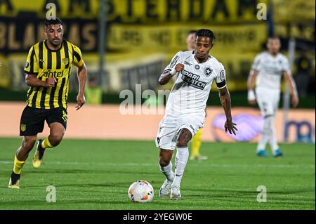 Montevideu, Uruguay. 30. Oktober 2024. Während des Peñarol x Botafogo, einem Spiel, das für die zweite Etappe des Copa Libertadores Semifinals 2024 gültig ist, das am Abend dieses Mittwochs (30) im Centenário-Stadion in Montevideo, Uruguay, ausgetragen wurde. Quelle: Nayra Halm/FotoArena/Alamy Live News Stockfoto