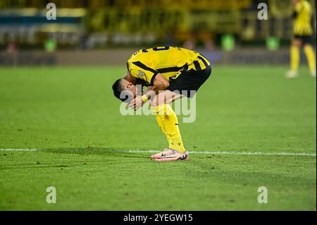 Montevideu, Uruguay. 30. Oktober 2024. Während des Peñarol x Botafogo, einem Spiel, das für die zweite Etappe des Copa Libertadores Semifinals 2024 gültig ist, das am Abend dieses Mittwochs (30) im Centenário-Stadion in Montevideo, Uruguay, ausgetragen wurde. Quelle: Nayra Halm/FotoArena/Alamy Live News Stockfoto