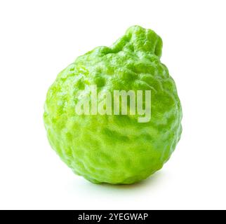 Die Seitenansicht einzelner frischer Bergamotte oder Kaffir-Limette ist auf weißem Hintergrund mit Schnittpfad isoliert. Stockfoto