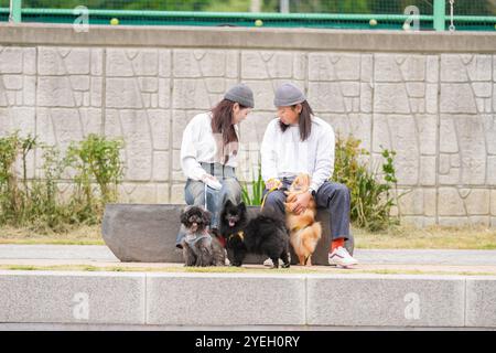 Ein koreanischer Mann und eine Japanerin, beide im Alter von 30 Jahren, laufen mit drei Hunden am Fluss in Pyeongnae-dong, Namyangju-si, Gyeonggi-do, Korea. Stockfoto