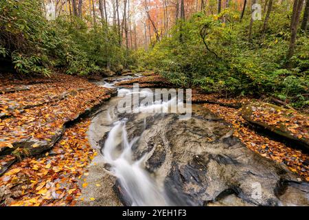 Fließende Kaskade im Herbst – Pisgah National Forest, nahe Brevard, North Carolina, USA Stockfoto