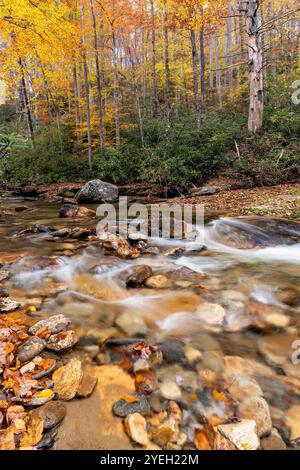 Cascade on Looking Glass Creek im Herbst – Pisgah National Forest, in der Nähe von Brevard, North Carolina, USA Stockfoto