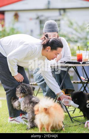 Ein koreanischer Mann und eine Japanerin, beide im Alter von 30 Jahren und ein verheiratetes Paar, genießen in einem stilvollen Café im Herbst einen Brunch mit drei Hunden Stockfoto
