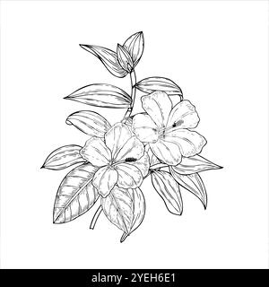 Handgezeichneter Blütenstrauß mit Hibiskusblüten und tradescantia-Blättern. Tropische Pflanzen Vektor isolierte Illustration. Hochzeits-Wildblumen Stock Vektor