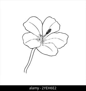 Einfache blühende chinesische Rose Blume Vektor isolierte Illustration gemalt von schwarzen Tinten. Hibiskus in der blühenden monochromen Linienzeichnung. Stock Vektor