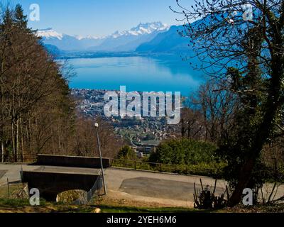 Blick aus der Vogelperspektive über die Stadt Vevey mit dem Genfer See im Hintergrund, Vevey Stadt, Schweiz. Stockfoto