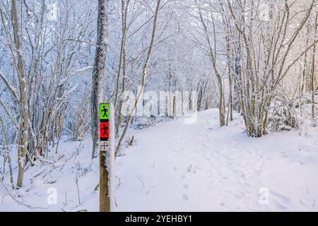 Schneebedeckter Wanderweg mit einem Wegweiser in einem Wald Stockfoto