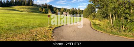 Panoramablick auf einen Golfplatz mit einem Bauernhaus gegen Wald und Himmel im Sommer 2020, in der Nähe des Dorfes Hinterzarten Stockfoto