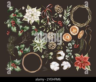 Winterblumen. Set mit traditionellen Weihnachtspflanzen. Stechpalme, Weihnachtsstern, Mistel, Eukalyptus, Tannenzapfen und Zweige, Baumwolle auf dunklem B Stockfoto