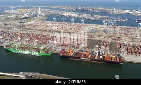 Zwei große Containerschiffe von Evergreen und Hapg Lloyd laden im Hafen ein. Die (zweite) Maasvlakte ist ein großes Industriegebiet in der Maas-Mündung. Die Ebene liegt direkt an der Nordsee und ist Teil des Hafens Rotterdam. niederlande aus - belgien aus Stockfoto