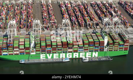 Zwei große Containerschiffe von Evergreen und Hapg Lloyd laden im Hafen ein. Die (zweite) Maasvlakte ist ein großes Industriegebiet in der Maas-Mündung. Die Ebene liegt direkt an der Nordsee und ist Teil des Hafens Rotterdam. niederlande aus - belgien aus Stockfoto