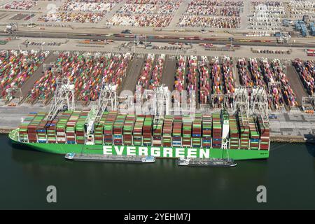 Zwei große Containerschiffe von Evergreen und Hapg Lloyd laden im Hafen ein. Die (zweite) Maasvlakte ist ein großes Industriegebiet in der Maas-Mündung. Die Ebene liegt direkt an der Nordsee und ist Teil des Hafens Rotterdam. niederlande aus - belgien aus Stockfoto