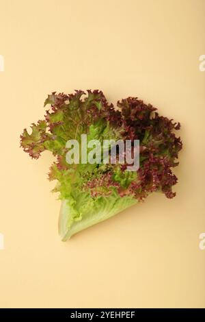 Frischer roter Salat auf beigefarbenem Hintergrund. Draufsicht Stockfoto