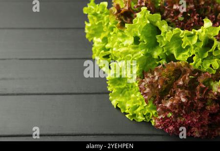 Frischer roter und grüner Salat auf schwarzem hölzernem Hintergrund. Draufsicht Stockfoto