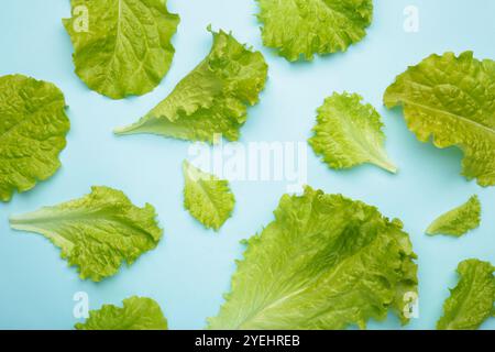 Salatblätter auf blauem Hintergrund. Makrofoto. Draufsicht Stockfoto