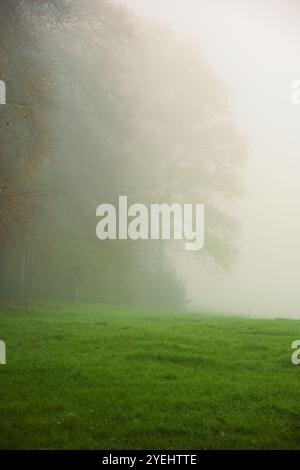 Dicker Nebel bedeckte grüne Felder und Bäume an einem Herbstmorgen, keine Leute. Stockfoto