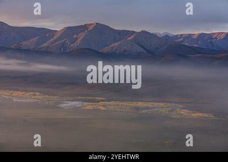 Morgenlicht, bewölkte Stimmung, Nebel, herbstliche Tundra, Herbstfarben, Wildnis, Berglandschaft, Ogilvie Mountains, Dempster Highway, Yukon, Kanada, Stockfoto