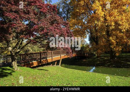 Bäume in Herbstfarben rot und gelb, Bach mit Holzbrücke, Zoologischer Stadtgarten Karlsruhe, Baden-Württemberg, Deutschland, Europa Stockfoto
