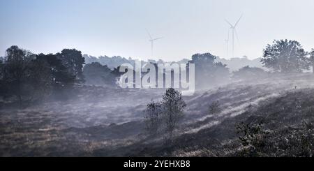 Landschaft mit Windrädern im Morgenglühen im Herbst, Westruper Heide, Haltern am See, Ruhrgebiet, Nordrhein-Westfalen, Deutschland, Europa Stockfoto