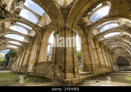 Malerischer Blick auf die Ruine eines verlassenen Klosters. HDR-Bild Stockfoto