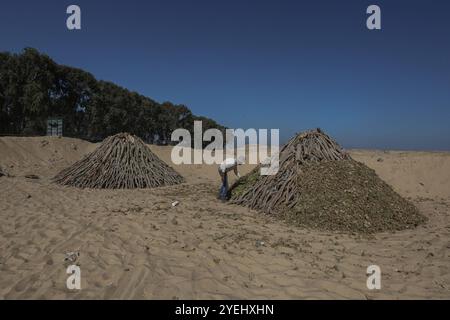 Palästinensische Arbeiter hacken verbranntes Holz an einer Produktionsstätte für Holzkohle in Khan Yunis im südlichen Gazastreifen palästinensische Arbeiter hacken verbranntes Holz an einer Produktionsstätte für Holzkohle in Khan Yunis im südlichen Gazastreifen am 30. Oktober 2024, während der Krieg zwischen Israel und der Hamas im palästinensischen Gebiet andauerte. Foto: Omar Ashtawy apaimages Khan Yunis Gazastreifen palästinensisches Gebiet 311024 KhanYunis OSH 0051 Copyright: XapaimagesxOmarxAshtawyxapaimagesx Stockfoto