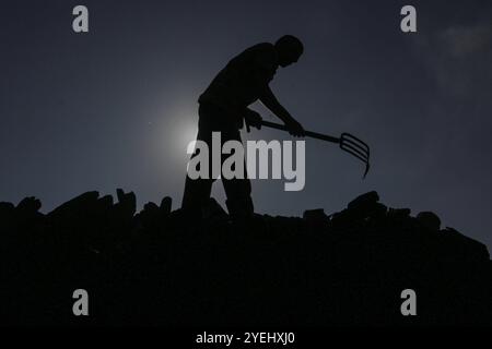 Palästinensische Arbeiter hacken verbranntes Holz an einer Produktionsstätte für Holzkohle in Khan Yunis im südlichen Gazastreifen palästinensische Arbeiter hacken verbranntes Holz an einer Produktionsstätte für Holzkohle in Khan Yunis im südlichen Gazastreifen am 30. Oktober 2024, während der Krieg zwischen Israel und der Hamas im palästinensischen Gebiet andauerte. Foto: Omar Ashtawy apaimages Khan Yunis Gazastreifen palästinensisches Gebiet 311024 KhanYunis OSH 0030 Copyright: XapaimagesxOmarxAshtawyxapaimagesx Stockfoto