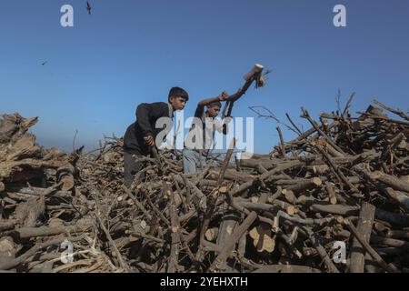 Palästinensische Arbeiter hacken verbranntes Holz an einer Produktionsstätte für Holzkohle in Khan Yunis im südlichen Gazastreifen palästinensische Arbeiter hacken verbranntes Holz an einer Produktionsstätte für Holzkohle in Khan Yunis im südlichen Gazastreifen am 30. Oktober 2024, während der Krieg zwischen Israel und der Hamas im palästinensischen Gebiet andauerte. Foto: Omar Ashtawy apaimages Khan Yunis Gazastreifen palästinensisches Gebiet 311024 KhanYunis OSH 0045 Copyright: XapaimagesxOmarxAshtawyxapaimagesx Stockfoto