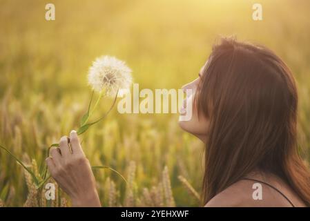 Schöne junge Frau bläst Löwenzahn in ein Weizenfeld im Sommer Sonnenuntergang. Schönheit und Sommer Konzept Stockfoto