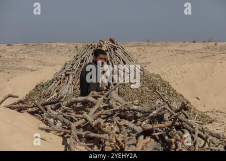 Palästinensische Arbeiter hacken verbranntes Holz an einer Produktionsstätte für Holzkohle in Khan Yunis im südlichen Gazastreifen palästinensische Arbeiter hacken verbranntes Holz an einer Produktionsstätte für Holzkohle in Khan Yunis im südlichen Gazastreifen am 30. Oktober 2024, während der Krieg zwischen Israel und der Hamas im palästinensischen Gebiet andauerte. Foto: Omar Ashtawy apaimages Khan Yunis Gazastreifen palästinensisches Gebiet 311024 KhanYunis OSH 0021 Copyright: XapaimagesxOmarxAshtawyxapaimagesx Stockfoto