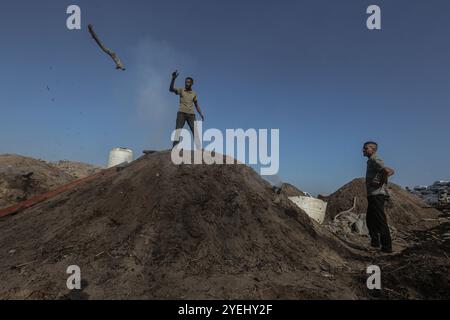 Palästinensische Arbeiter hacken verbranntes Holz an einer Produktionsstätte für Holzkohle in Khan Yunis im südlichen Gazastreifen palästinensische Arbeiter hacken verbranntes Holz an einer Produktionsstätte für Holzkohle in Khan Yunis im südlichen Gazastreifen am 30. Oktober 2024, während der Krieg zwischen Israel und der Hamas im palästinensischen Gebiet andauerte. Foto: Omar Ashtawy apaimages Khan Yunis Gazastreifen palästinensisches Gebiet 311024 KhanYunis OSH 0038 Copyright: XapaimagesxOmarxAshtawyxapaimagesx Stockfoto