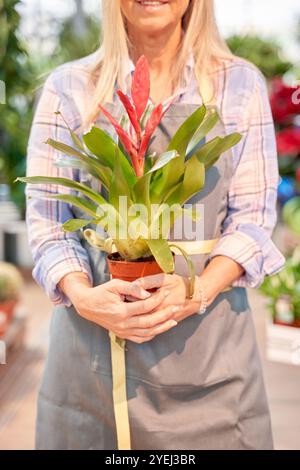 Unerkennbare Frau, die in einem bunten Gewächshaus-Blumengarten arbeitet. Weiße Frau mit weißem Haar hält einen Blumentopf in den Händen. Stockfoto