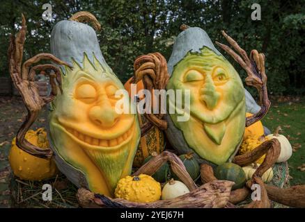 Geschnitzte Kürbisse mit lustigen Gesichtern. Stockfoto
