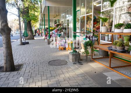 Chisinau, Moldawien. Oktober 2024. Panoramablick auf den Blumenmarkt im Stadtzentrum Stockfoto