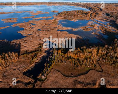 Luftaufnahme von Feuchtgebieten und Sumpfgebieten im Lettischen Nationalpark Stockfoto