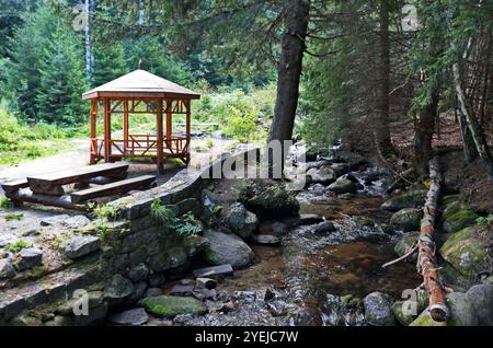 Eine gemütliche Ecke mit Nadelwald, Nische, Holztisch und Bänken zum Ausruhen auf einer Wiese im Bereich der Goldenen Brücken in den Vitosha Bergen Stockfoto