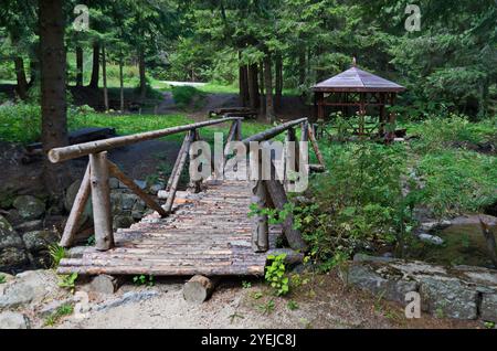 Eine gemütliche Ecke mit Nadelwald, Nische, Holztisch und Bänken zum Ausruhen auf einer Wiese im Bereich der Goldenen Brücken in den Vitosha Bergen Stockfoto