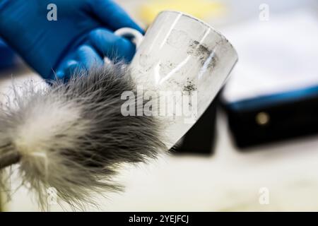 +++ Themenbild +++ Hintergrundgespräch des Bundeskriminalamtes ¿vom Fingerabdruck zum gelösten Verbrechen¿ am Dienstag, 22. Oktober 2024 in Wien. - 20241022 PD3523 Stockfoto