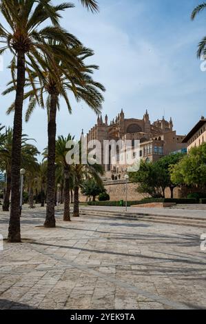 Kathedrale Santa Maria von Palma, Blick auf La Seu aus einem niedrigen Winkel, Palmen, Rückseite der Kathedrale, vertikale Aufnahme, Palma de Mallorca, Spanien Stockfoto