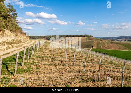 Hügellandschaft und Weinberg mit Blick auf das Dorf Neuville-sur-seine (Nordostfrankreich) Stockfoto