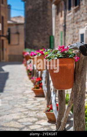 Blumentöpfe an einem Holzzaun in Valldemossa, Mallorca, vertikaler Shot, mallorca spanien Stockfoto